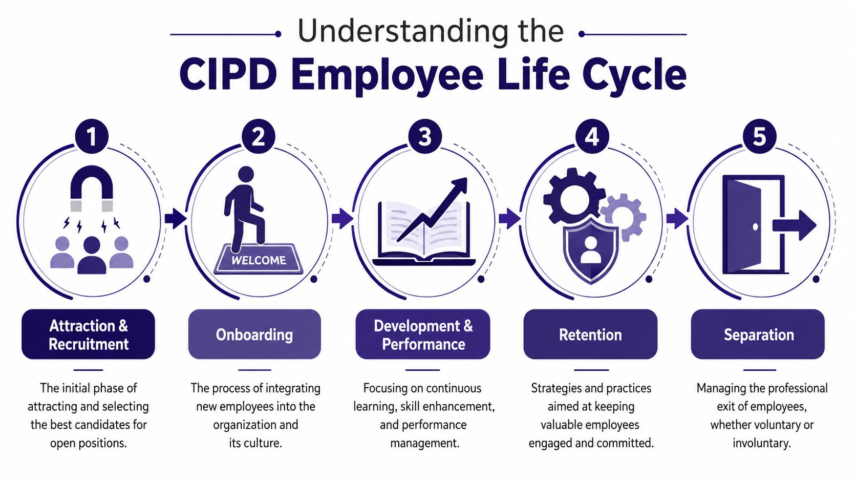 A diagram illustrating the five stages of the CIPD employee life cycle including recruitment and separation.